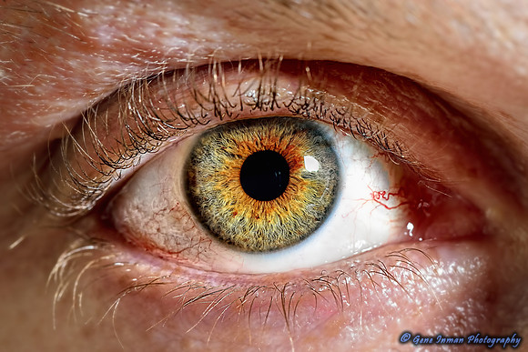 Self Portrait - Macro Eye, 105mm