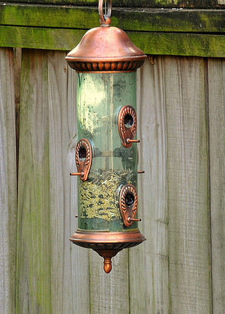 mixed Auto -200mm to 500mm zoom yard