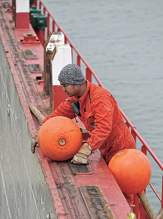 Coli Shipment - Ulsan, Korea