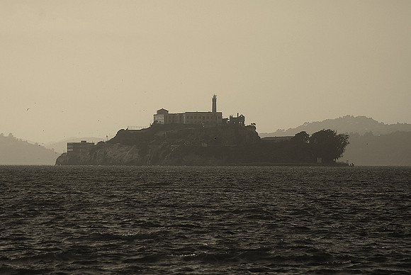 DSC_6531