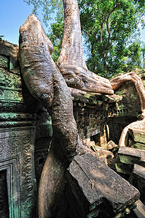 GPI_6253_Cambodia-done_topaz_GenesColor