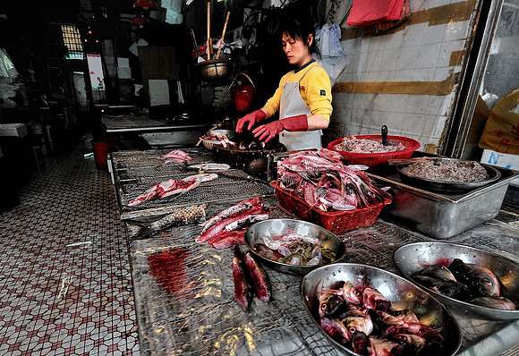 GPI_5357_5896 Hong Kong