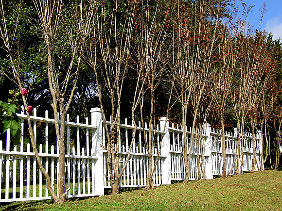 Dunleith plantation