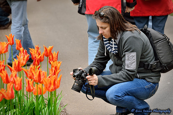 2872 -Keukenhof, Holland