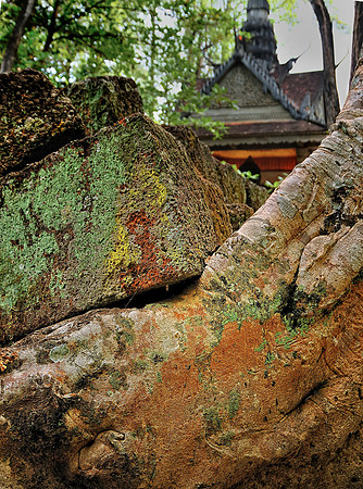 GPI_5913_Cambodia-done_topaz_GenesColor
