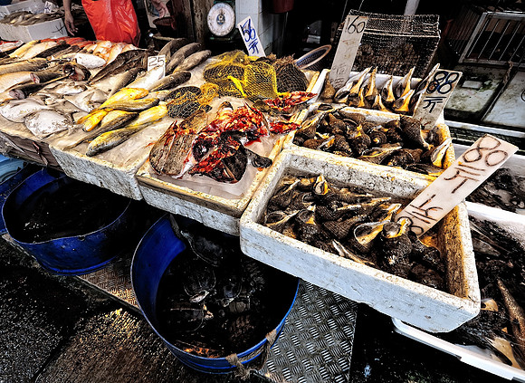 GPI_5323_5862 Hong Kong