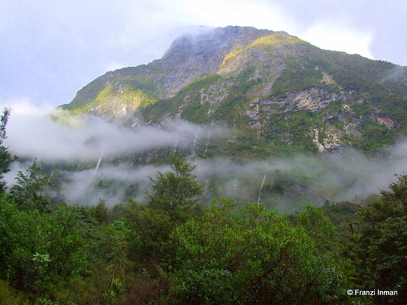 NZ-Milford Sound 2010-44