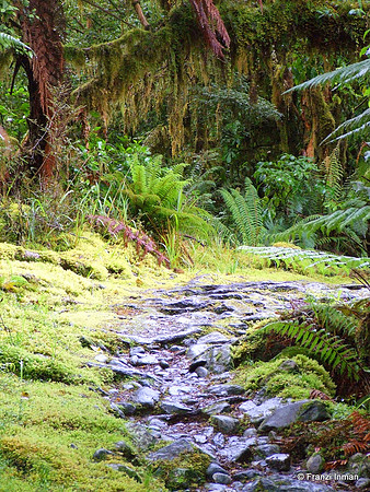 NZ-Milford Sound 2010-59