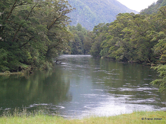 NZ-Milford Sound 2010-10