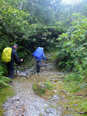 NZ-Milford Sound 2010-46