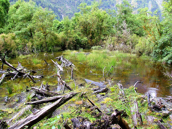 NZ-Milford Sound 2010-57