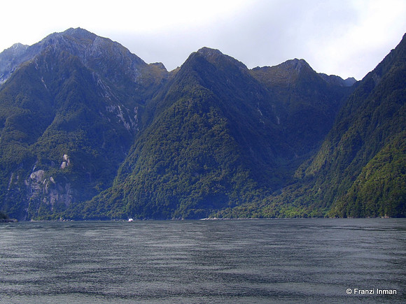 NZ-Milford Sound 2010-109