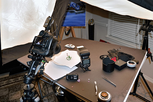 Nikon D800 Macro Tests: Macro Setup- (7/24/2013)
