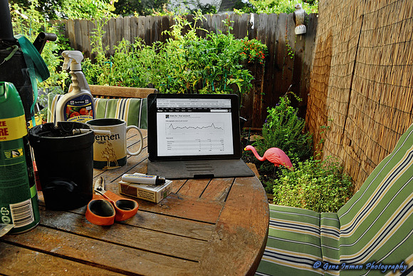 Wednesday Office