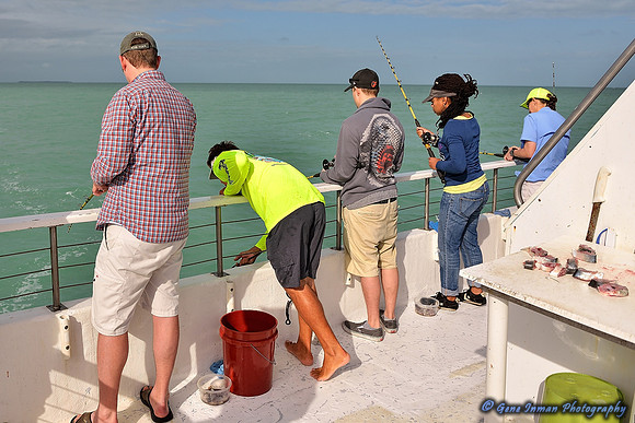 12/25/2013 - Florida Christmas 2013Fishing: Key West