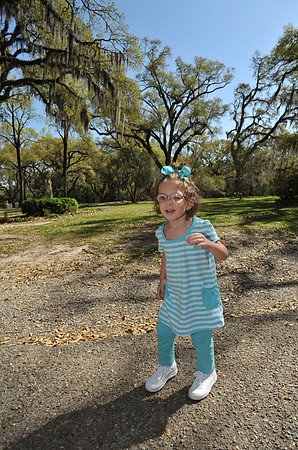 012 - The Sticks, March 2010