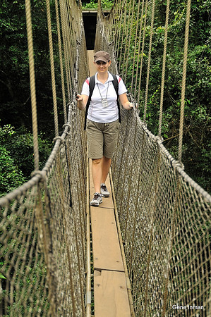 Canopy Trail 1
