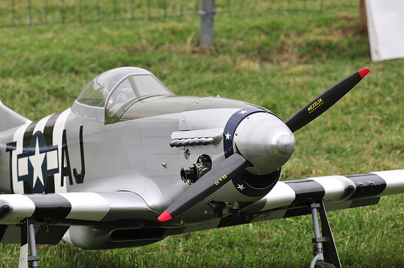 GPI_6701