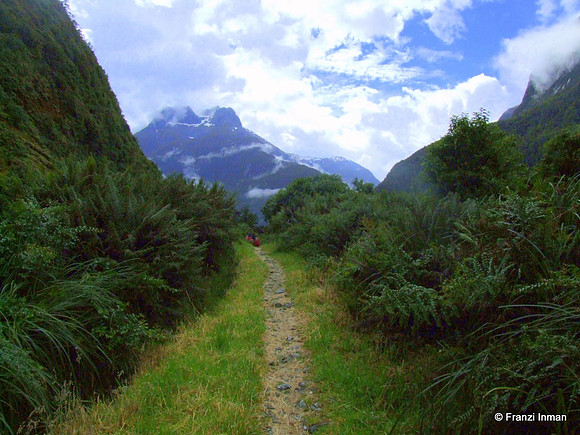 NZ-Milford Sound 2010-52