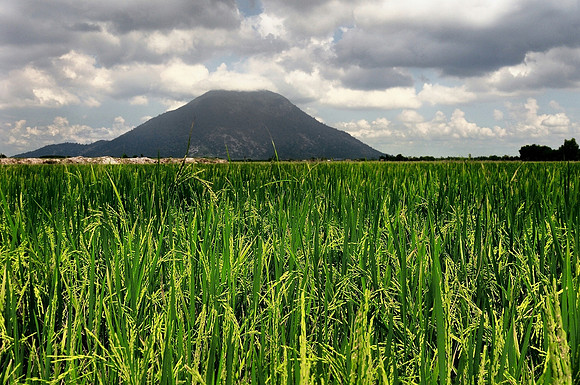 Fields-Rural Vietnam