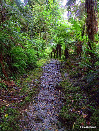 NZ-Milford Sound 2010-60