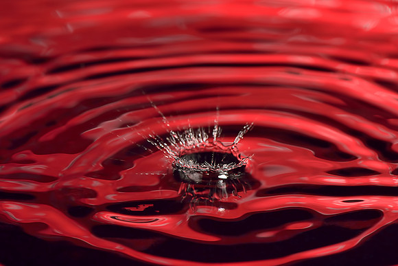 Nikon D800 test images of macro water drops, using the SB900, Pocketwizard, & Nikon105mm Macro