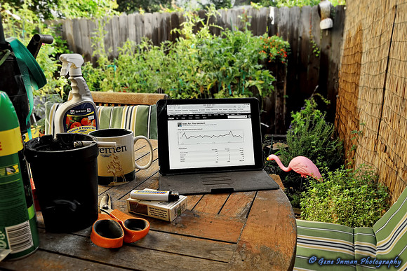 Wednesday Office
