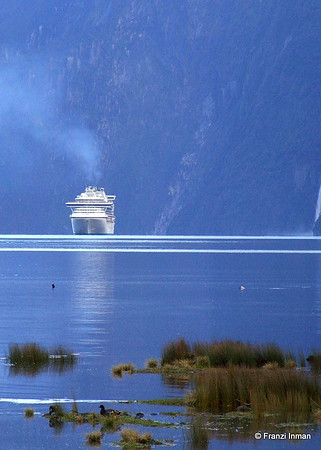 NZ-Milford Sound 2010-90