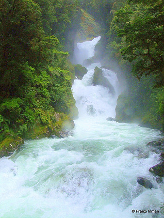 NZ-Milford Sound 2010-51