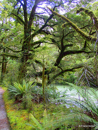 NZ-Milford Sound 2010-24