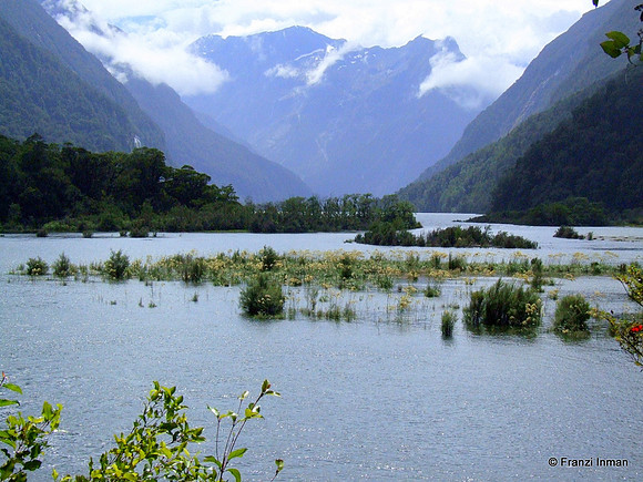 NZ-Milford Sound 2010-61