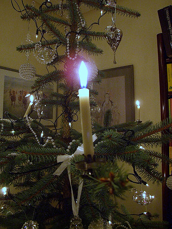 Real burning candles on the Tannenbaum