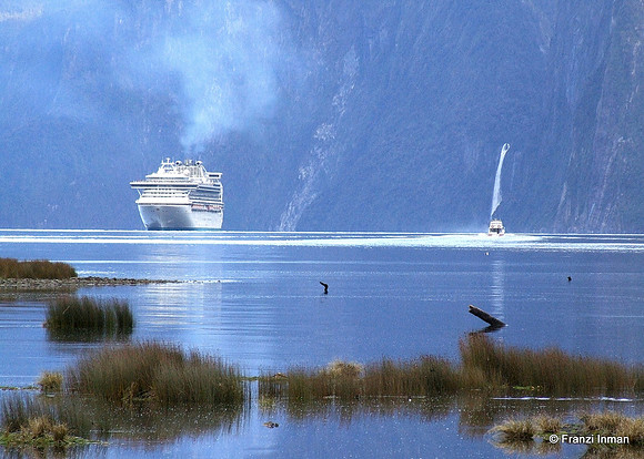 NZ-Milford Sound 2010-91