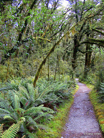 NZ-Milford Sound 2010-26