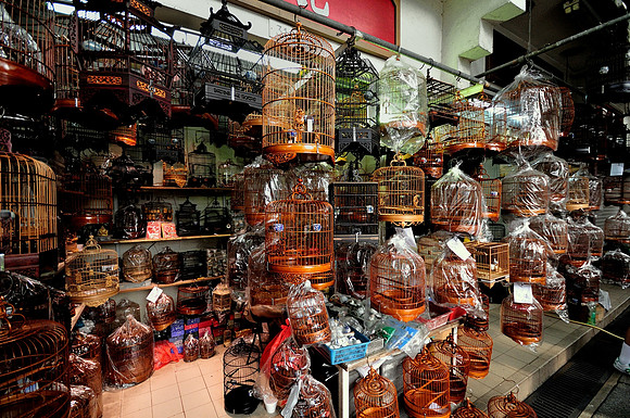 GPI_5527_4549 Hong Kong