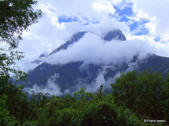 NZ-Milford Sound 2010-55
