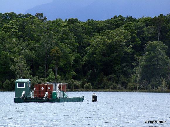 NZ-Milford Sound 2010-1a