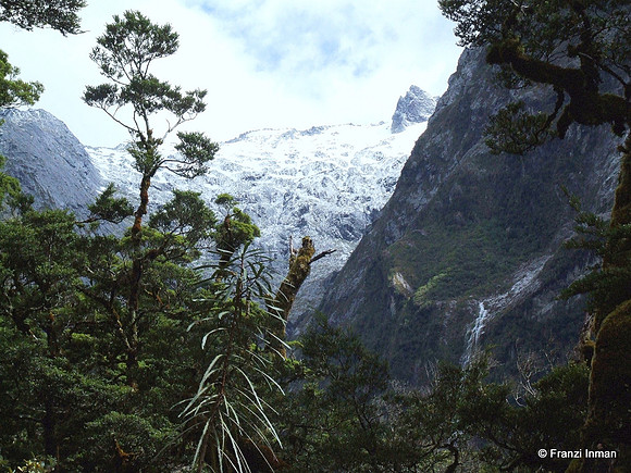 NZ-Milford Sound 2010-19