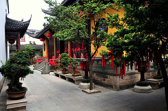 GPI_9263 Shanghai, China