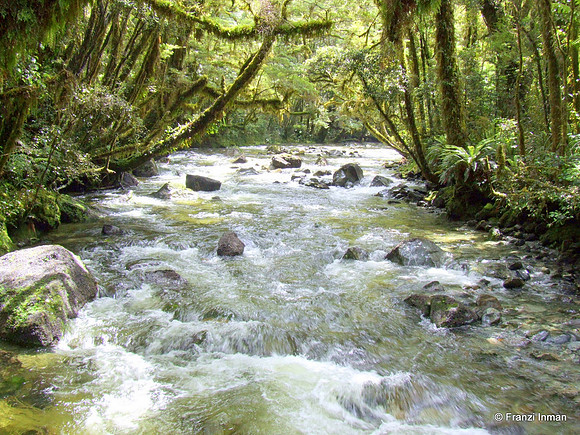 NZ-Milford Sound 2010-65