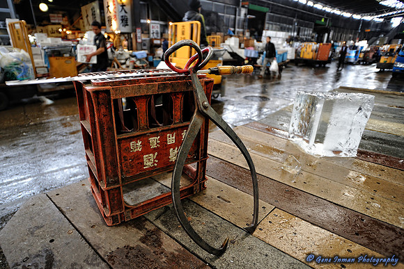 GPI_8894_2157 Tokyo-tpz.jpg -Tokyo Fish Market