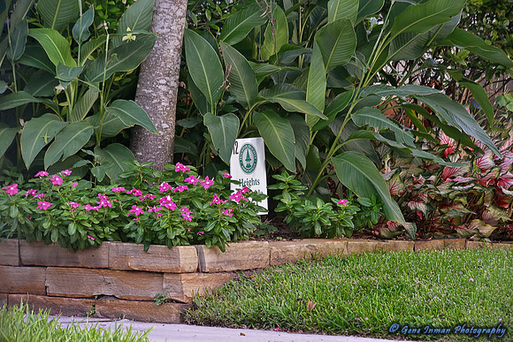 Nikon D800 Tests - D800 @1000mm: using Sigma 150-500mm w/ Tamron 2.0x Teleconverter.