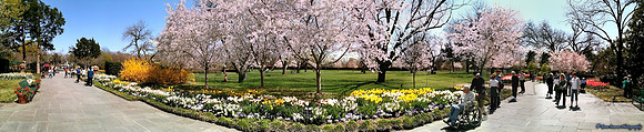 069 -Botanical Gardens, Dallas Texas,  iPhone Pano.JPG
