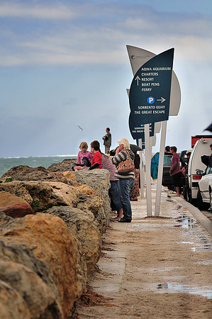 GPI_0543- Bule Whale Removel -West Australia