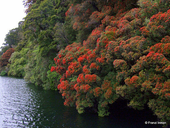 NZ-Milford Sound 2010-4