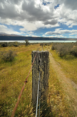 New Zealand 19
