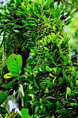 GPI_4890 Hong Kong